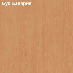 Антресоль для большого шкафа Логика Л-14.3 в Белоярском - beloyarskiy.mebel24.online | фото 2