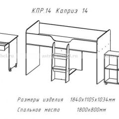 КАПРИЗ-14 Кровать 800 двухъярусная без рисунка в Белоярском - beloyarskiy.mebel24.online | фото 2