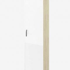СОФИ СШП450.1 Пенал в Белоярском - beloyarskiy.mebel24.online | фото
