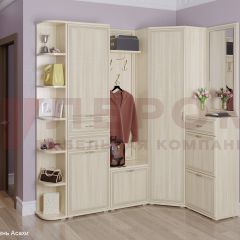 Прихожая Карина композиция 5 (Ясень Асахи) в Белоярском - beloyarskiy.mebel24.online | фото