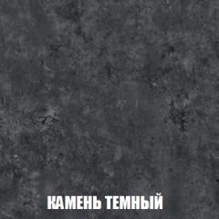 Шкаф 2-х створчатый МСП-1 (Дуб Золотой/Камень темный) в Белоярском - beloyarskiy.mebel24.online | фото 5