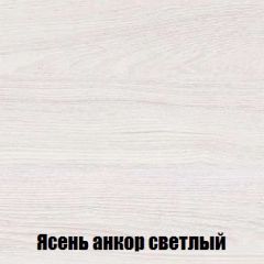 Шкаф 2-х створчатый МСП-1 (Ясень Анкор светлый) в Белоярском - beloyarskiy.mebel24.online | фото 4