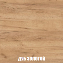 Шкаф 3-х створчатый МСП-1 (Дуб Золотой/Камень темный) в Белоярском - beloyarskiy.mebel24.online | фото 4