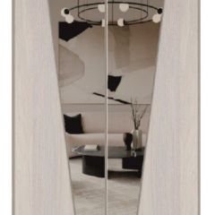 Шкаф-купе 1300 серии SILVER S3+S4+B2+PL4 (2 ящика+F обр.штанга) профиль «Серебро» в Белоярском - beloyarskiy.mebel24.online | фото 12