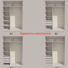 Шкаф-купе 1300 серии SILVER S3+S4+B2+PL4 (2 ящика+F обр.штанга) профиль «Серебро» в Белоярском - beloyarskiy.mebel24.online | фото 5