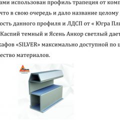 Шкаф-купе 1500 серии SILVER S1+S1+B2+PL2 (2 ящика+1 штанга+1 полка) профиль «Серебро» в Белоярском - beloyarskiy.mebel24.online | фото 4