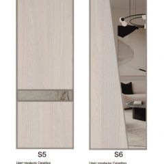Шкаф-купе 1500 серии SILVER S1+S1+B2+PL2 (2 ящика+1 штанга+1 полка) профиль «Серебро» в Белоярском - beloyarskiy.mebel24.online | фото 11