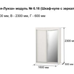 Шкаф-купе 1600 с зеркалом "Мария-Луиза 6.16" в Белоярском - beloyarskiy.mebel24.online | фото 4