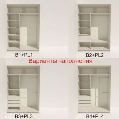 Шкаф-купе 1600 серии SOFT D6+D6+B2+PL3 (2 ящика+2штанги) профиль «Капучино» в Белоярском - beloyarskiy.mebel24.online | фото 6