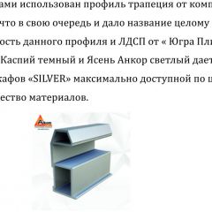 Шкаф-купе 1700 серии SILVER S4+S3Z+B2+PL1 (2 ящика+1 штанга) профиль «Серебро» в Белоярском - beloyarskiy.mebel24.online | фото 6
