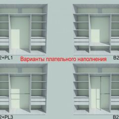 Шкаф-купе 1950 серии SILVER S3+S1+S3Z B22+PL2 (по 2 ящика лев/прав+1штанга+1 полка) профиль «Серебро» в Белоярском - beloyarskiy.mebel24.online | фото 6