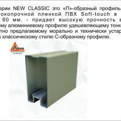 Шкаф-купе 2150 серии NEW CLASSIC K6Z+K1+K6+B22+PL2(по 2 ящика лев/прав+1 штанга+1 полка) профиль «Капучино» в Белоярском - beloyarskiy.mebel24.online | фото 17