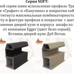 Шкаф-купе 2400 серии SOFT D2+D7+D3+B22+PL2 (по 2 ящика лев/прав+1штанга+1полка) профиль «Графит» в Белоярском - beloyarskiy.mebel24.online | фото 12
