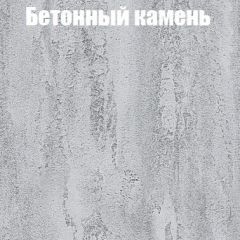 Шкаф-купе Бассо 1.0 (Дуб Крафт серый/Бетонный камень) 2 двери ЛДСП в Белоярском - beloyarskiy.mebel24.online | фото 3