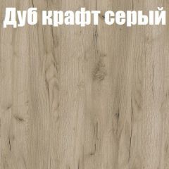 Шкаф-купе Бассо 1.0 (Дуб Крафт серый/Бетонный камень) 2 двери ЛДСП в Белоярском - beloyarskiy.mebel24.online | фото 4