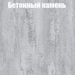 Шкаф-купе Бассо 1.0 (Дуб Крафт серый/Бетонный камень) 2 двери ЛДСП 2 зеркальные вставки в Белоярском - beloyarskiy.mebel24.online | фото 3