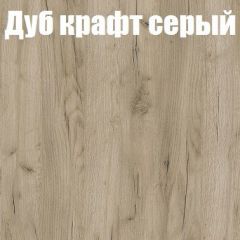 Шкаф-купе Бассо 1.0 (Дуб Крафт серый/Бетонный камень) 2 двери ЛДСП 2 зеркальные вставки в Белоярском - beloyarskiy.mebel24.online | фото 4
