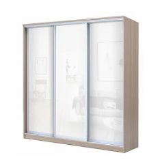 Шкаф-купе ХИТ 22-20-888 (620) в Белоярском - beloyarskiy.mebel24.online | фото 7
