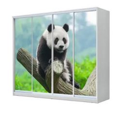 Шкаф-купе ХИТ 23-4-24/2-7777 (420) в Белоярском - beloyarskiy.mebel24.online | фото