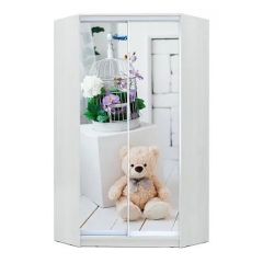 Шкаф-купе ХИТ-У-23-4-77 в Белоярском - beloyarskiy.mebel24.online | фото