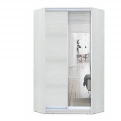 Шкаф-купе ХИТ-У-L-24-64-15 в Белоярском - beloyarskiy.mebel24.online | фото