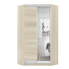 Шкаф-купе ХИТ-У-L-24-64-15 в Белоярском - beloyarskiy.mebel24.online | фото 8