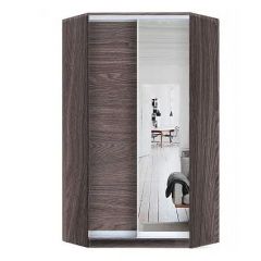 Шкаф-купе ХИТ-У-L-24-64-15 в Белоярском - beloyarskiy.mebel24.online | фото 11