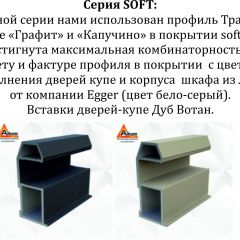 Шкаф-купе 1400 серии SOFT D1+D3+B2+PL1 (2 ящика+1штанга) профиль «Графит» в Белоярском - beloyarskiy.mebel24.online | фото 5