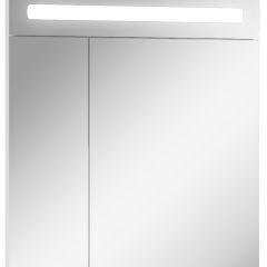 Шкаф-зеркало Аврора 65 с подсветкой LED Домино (DV8006HZ) в Белоярском - beloyarskiy.mebel24.online | фото 1