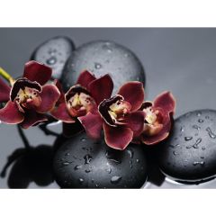 Стол обеденный Бостон Ст101.1 орхидеи в Белоярском - beloyarskiy.mebel24.online | фото 3