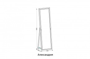 АЛЕКСАНДРИЯ-9.1 Зеркало напольное в Белоярском - beloyarskiy.mebel24.online | фото 2