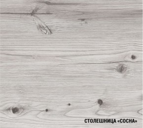 АСАЯ Кухонный гарнитур Экстра (3000 мм) в Белоярском - beloyarskiy.mebel24.online | фото 8