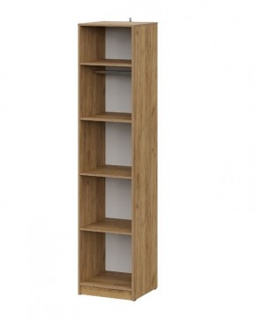 АВИНЬОН Прихожая Пенал (Дуб Крафт золотой/Графит серый) в Белоярском - beloyarskiy.mebel24.online | фото 2