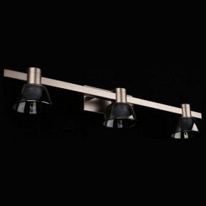 Бра Aployt Rezeda APL.788.01.03 в Белоярском - beloyarskiy.mebel24.online | фото 11