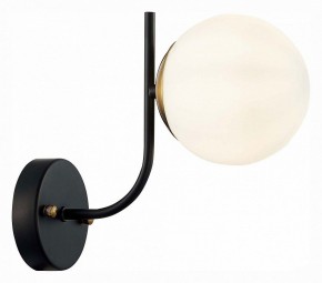 Бра EVOLUCE Ciane SLE1098-401-01 в Белоярском - beloyarskiy.mebel24.online | фото 3