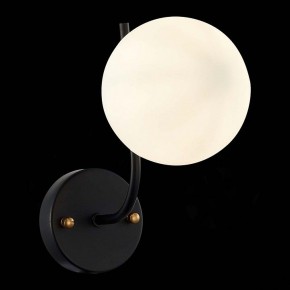 Бра EVOLUCE Ciane SLE1098-401-01 в Белоярском - beloyarskiy.mebel24.online | фото 4