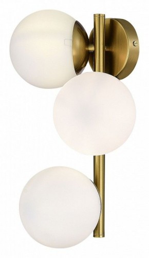 Бра EVOLUCE Fratta SLE1191-201-03 в Белоярском - beloyarskiy.mebel24.online | фото 4