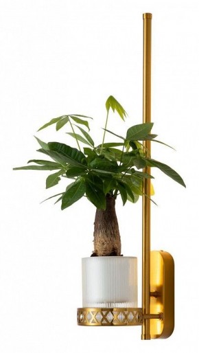 Бра Favourite Greenery 4050-1W в Белоярском - beloyarskiy.mebel24.online | фото 3