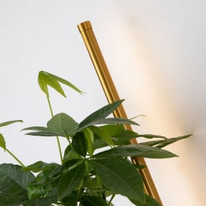 Бра Favourite Greenery 4050-2W в Белоярском - beloyarskiy.mebel24.online | фото 13