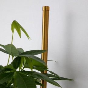 Бра Favourite Greenery 4050-2W в Белоярском - beloyarskiy.mebel24.online | фото 8