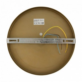 Бра Freya Zelda FR5125WL-01BS в Белоярском - beloyarskiy.mebel24.online | фото 6