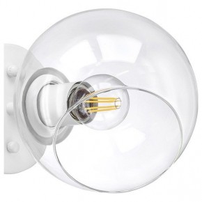 Бра Lightstar Beta 785616 в Белоярском - beloyarskiy.mebel24.online | фото 5