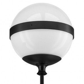 Бра Lightstar Globo 813617 в Белоярском - beloyarskiy.mebel24.online | фото 3