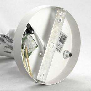 Бра Lussole Koyukuk LSP-8048V в Белоярском - beloyarskiy.mebel24.online | фото 6