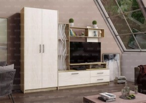ДАРЬЯ Гостиная (Крафт серый/Крафт белый) в Белоярском - beloyarskiy.mebel24.online | фото