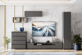 ДЕНВЕР Тумба для ТВА (Графит серый) в Белоярском - beloyarskiy.mebel24.online | фото 4
