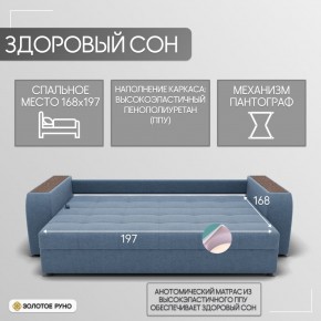 Диван Сенатор-1 (ППУ) в Белоярском - beloyarskiy.mebel24.online | фото 3