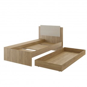 Дуглас подростковая (модульная) в Белоярском - beloyarskiy.mebel24.online | фото 40
