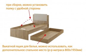 Дуглас подростковая (модульная) в Белоярском - beloyarskiy.mebel24.online | фото 5