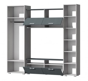Гостиная Эмми (Анкор светлый/Графит) в Белоярском - beloyarskiy.mebel24.online | фото 3